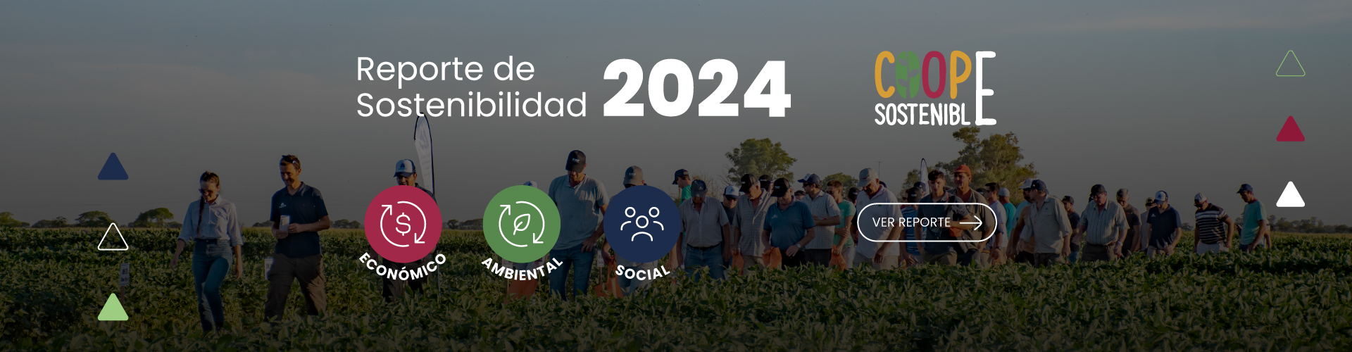 Banner reporte 2024